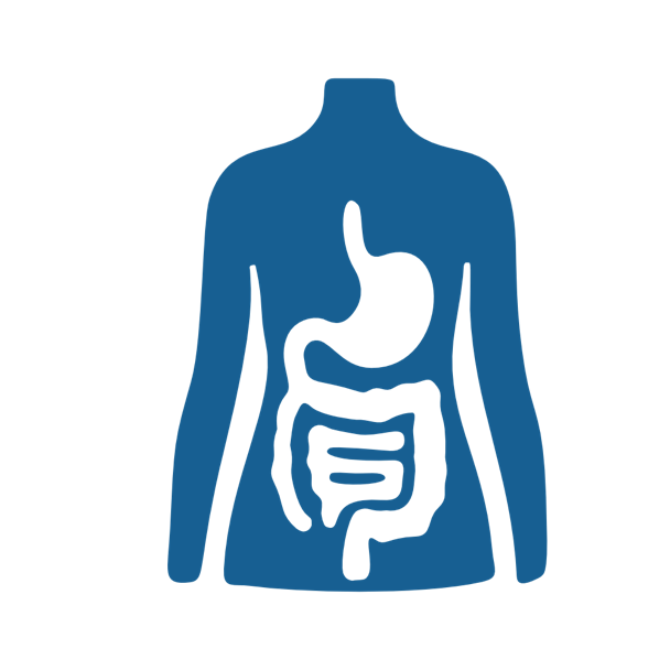 Silhouette eines menschlichen Oberk&ouml;rpers mit schematischer Darstellung des Verdauungssystems.